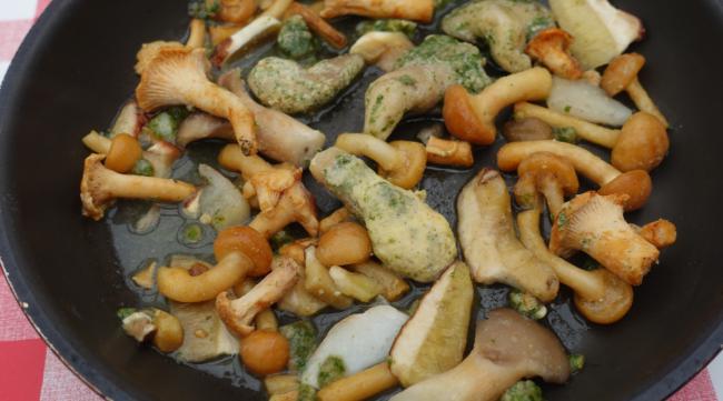 油煎蘑菇的做法