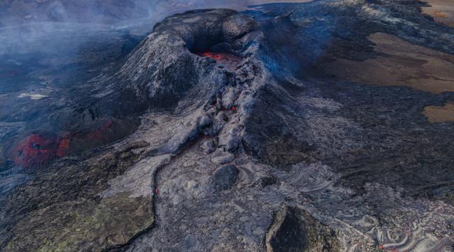 东北旅游区的火山群有哪些动物
