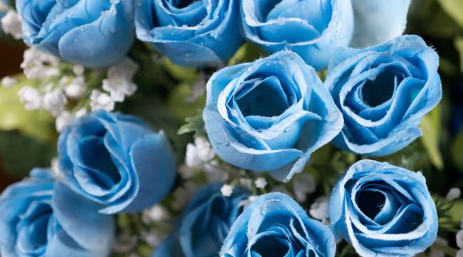 蓝玫瑰的花语适合送什么人呢