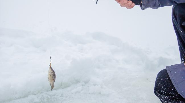 冬天怎么钓鱼冬天的钓鱼技巧