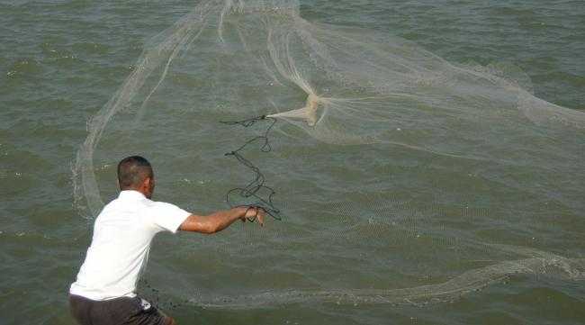 网鱼的技巧和方法