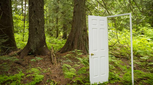 森林如何建造带锁的门