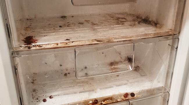 冰箱里的小孔清理小窍门图片