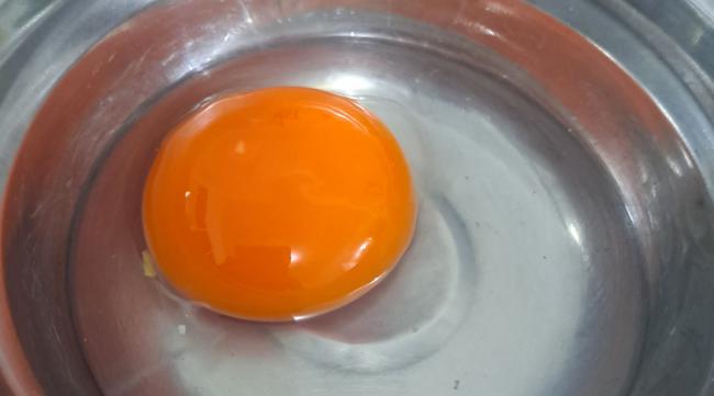 怎样辨别鸡蛋是否受精了
