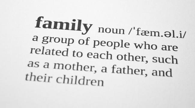 Families是什么意思