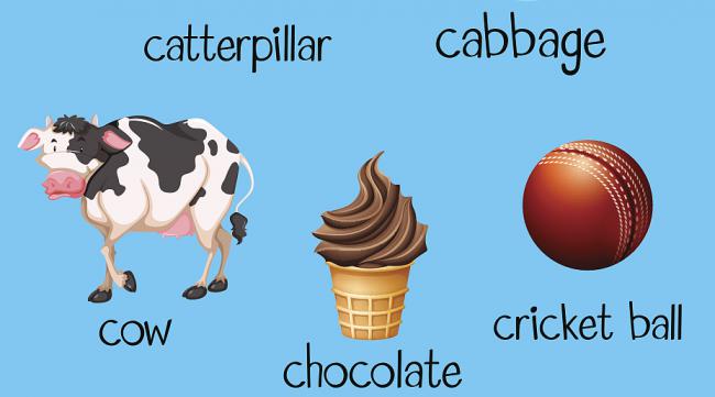 牛奶和冰淇淋的英语发音相同吗