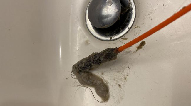 卫生间有蚯蚓怎么除去