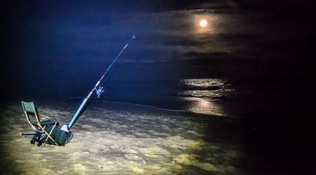 夜钓梭鱼最佳钓法大全