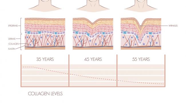 如何测皮肤属于什么皮质
