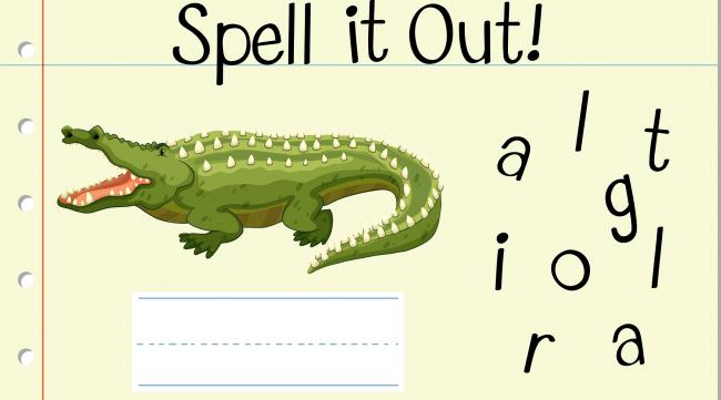 鳄鱼在英语里怎么读