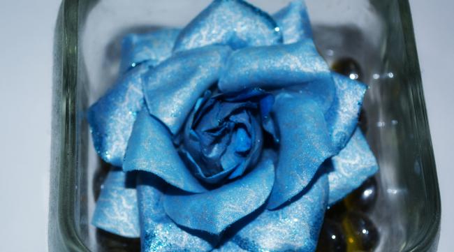 11朵碎冰蓝玫瑰代表什么意思