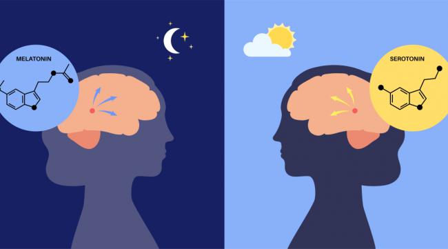 睡眠记忆法可靠吗