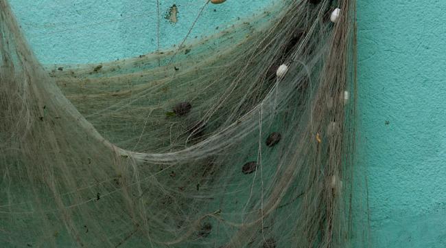 钓鱼用的蜘蛛网是什么原材料做的