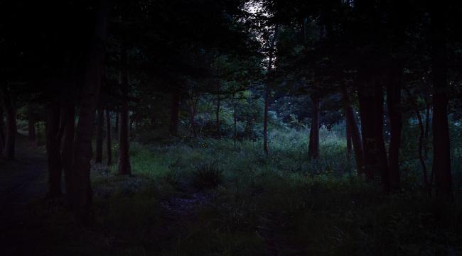 森林太暗了怎么调亮度