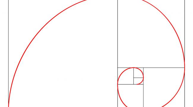 ps如何画椭圆形曲线框