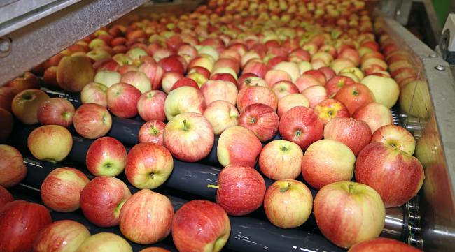 苹果水货和行货有什么区别