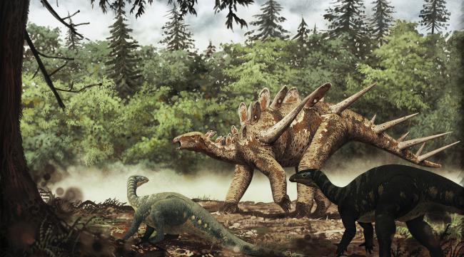 侏罗纪的早期与晚期有什么区别呢