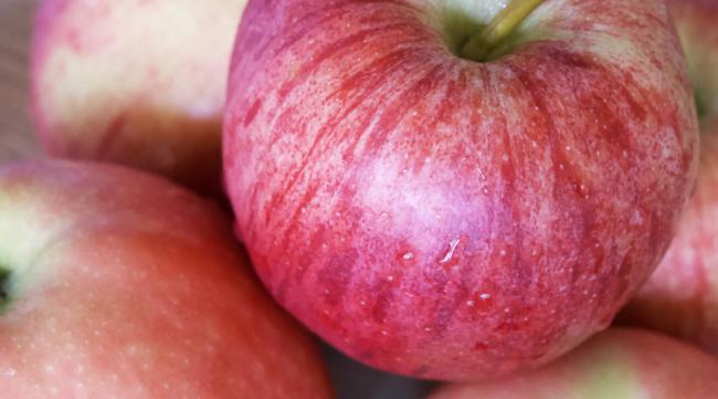 粉苹果和脆苹果怎么选择