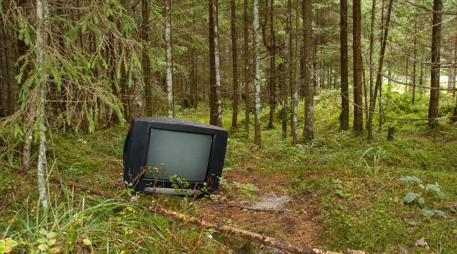 如何在电视上玩森林手游