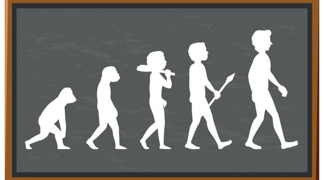 人类起源与进化过程先后顺序图