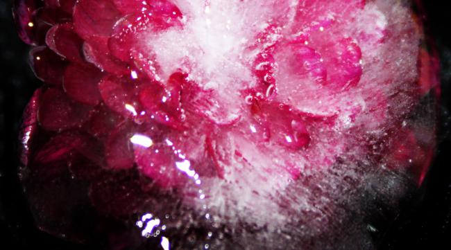 世界上最美的粉水晶图片