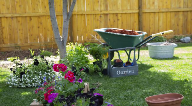 如何更加高效打造自己的花园环境