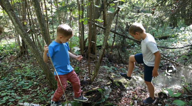 怎么触发森林的孩子们的挑战
