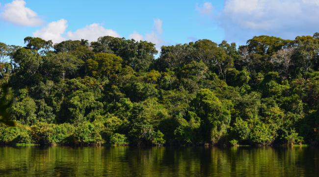 亚马逊热带雨林位于哪