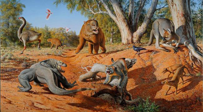 原始动物本能是什么