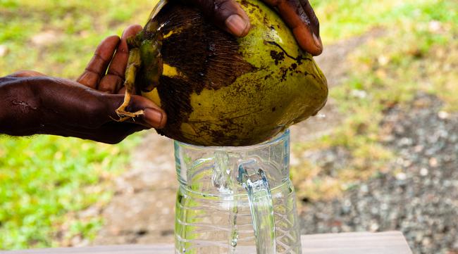 菠萝蜜为什么要割一点扔水里呢