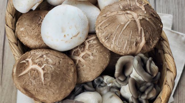 人工养殖蘑菇哪个品种最好吃的