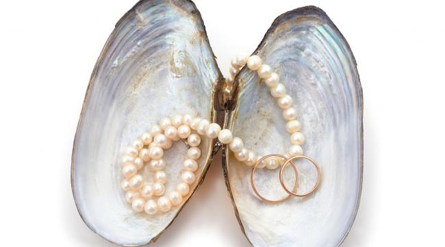 海贝和珍珠的区别