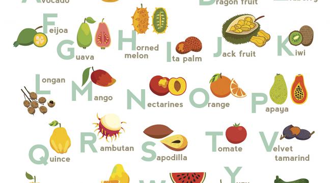 各种水果用英语怎么说