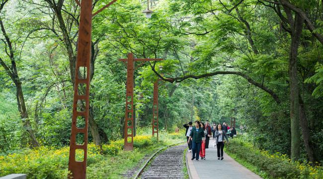 怎么样坐地铁去白江湖森林公园呢