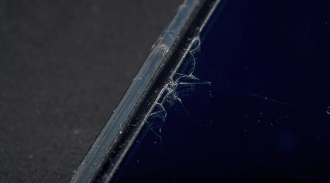 手机屏幕裂缝修复的小妙招图片