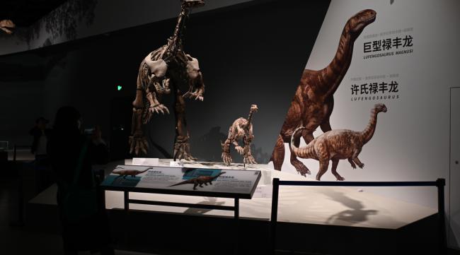 山东博物馆恐龙展什么时候结束
