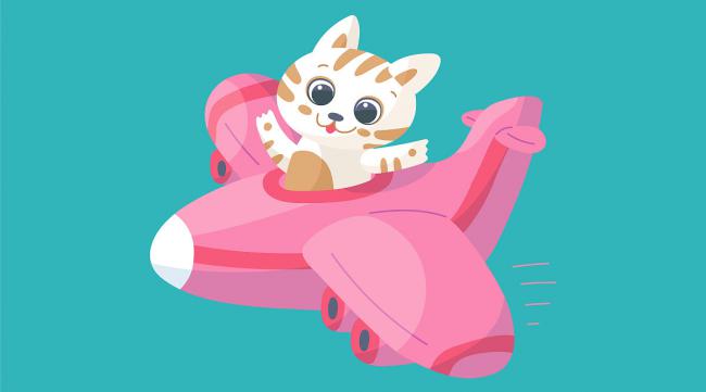 宠物猫上飞机流程
