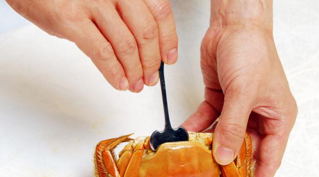 怎么用手剥螃蟹