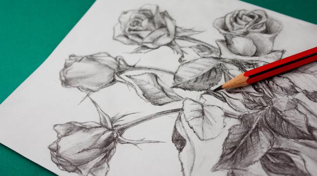 如何画玫瑰花立体素描图