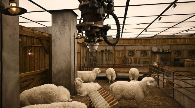 模拟农场16怎么买羊