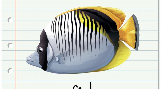 海底动物的英语单词,急用怎么写