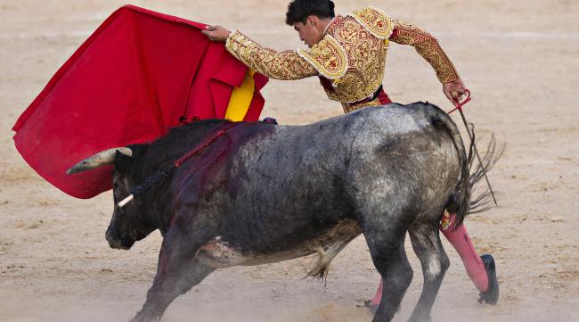 西班牙斗牛的全过程