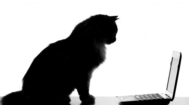 为什么每次要重启猫才能上网呢