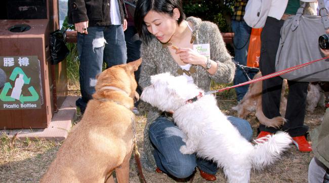 日本人与狗发生过的感动故事电影