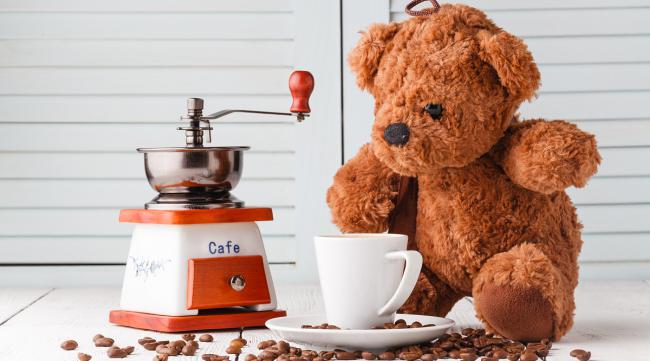小熊的咖啡机怎么用的啊