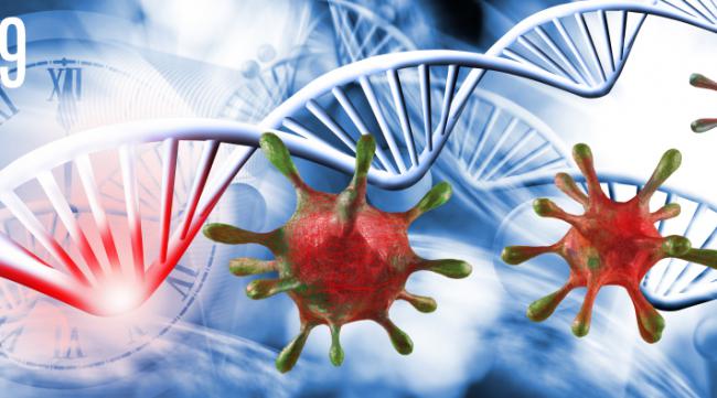 人类能否通过基因技术改良病毒生存