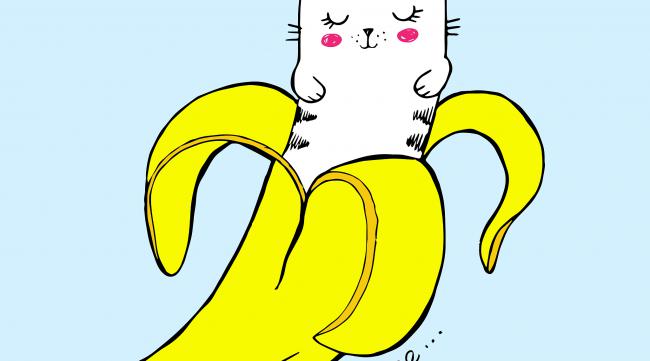 香蕉猫的来源