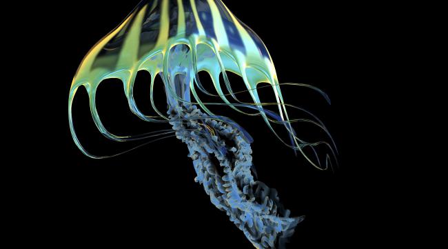 饥荒海难荧光水母有什么用