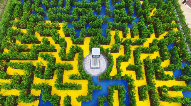号称中国最大的迷宫是什么呢