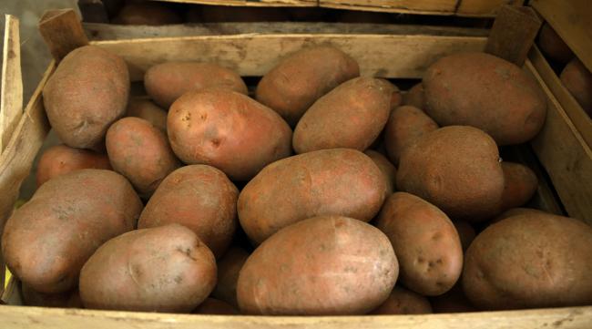 新土豆如何存储最好吃